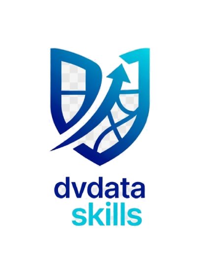 DV Data Skills